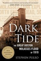 Dark Tide by Stephen Puleo